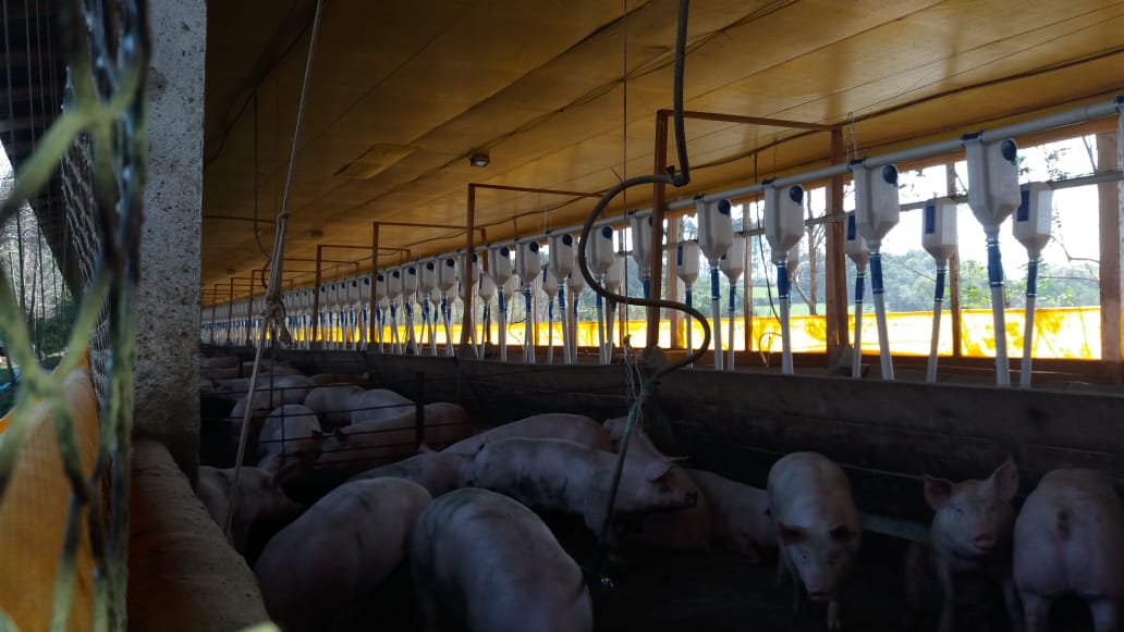23-sistema-de-alimentacao-min.jpg